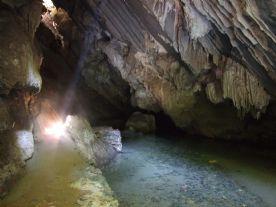 10. Distribuição de artrópodes em grutas com e sem influência de cursos d água Contexto: A fauna encontrada em cavidades naturais (grutas e cavernas) é variável ao longo de seu desenvolvimento