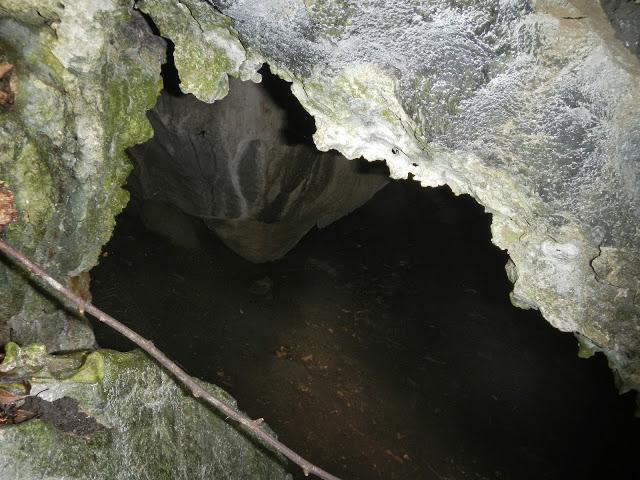 Questão de pesquisa: A fauna cavernícola de solo e paredes varia entre grutas com e sem cursos d água?
