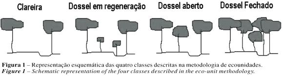 3. Diversidade do estrato herbáceo em diferentes fitofisionomias do Parque Estadual de Intervales, SP.