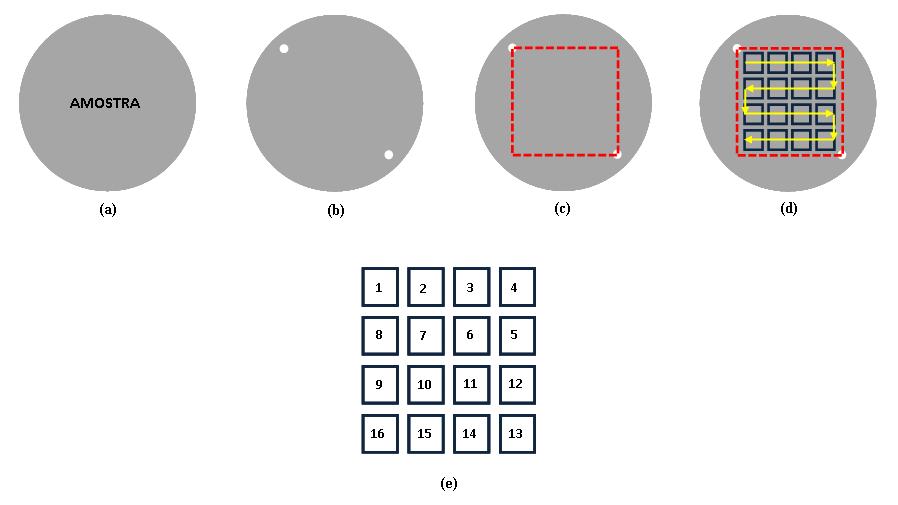 51 Figura 21 LMD Captura: (a) Amostra; (b) Dados de entrada da rotina de aquisição automática: 2 coordenadas x-y ; (c) Área delimitada e calculada pela rotina; (d) Aquisição de