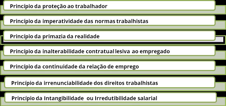 1.4. Princípios Específicos do Direito do Trabalho. 1.4.1. Princípio da Proteção ao Trabalhador.