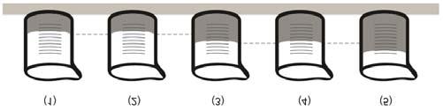 . Os cinco frascos representados abaixo são transparentes, indilatáveis, estão apoiados numa superfície plana e horizontal e parcialmente cheios d água em temperaturas diferentes.