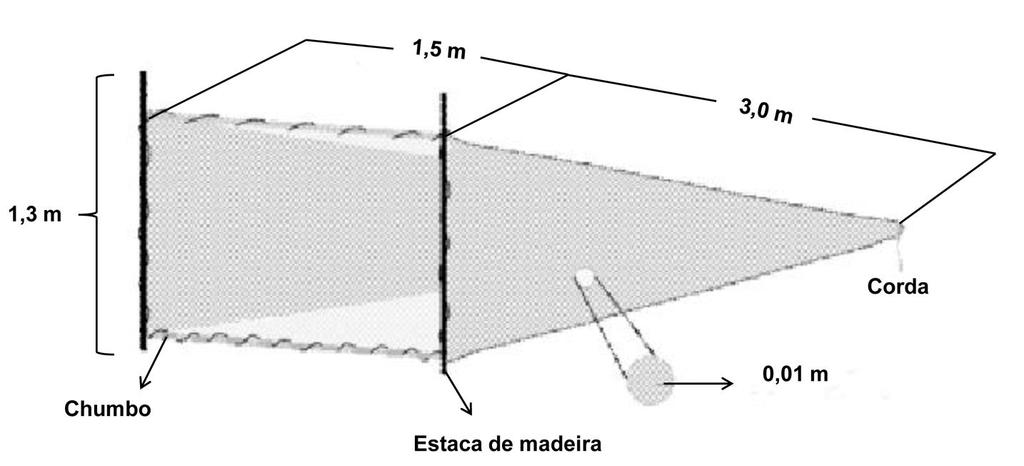30 Figura 6 - Representação gráfica da rede puçá de arrasto utilizada nas coletas de camarões no Estuário de Marapanim de agosto de 2006 a julho de 2007. Fonte: Martinelli (2005).