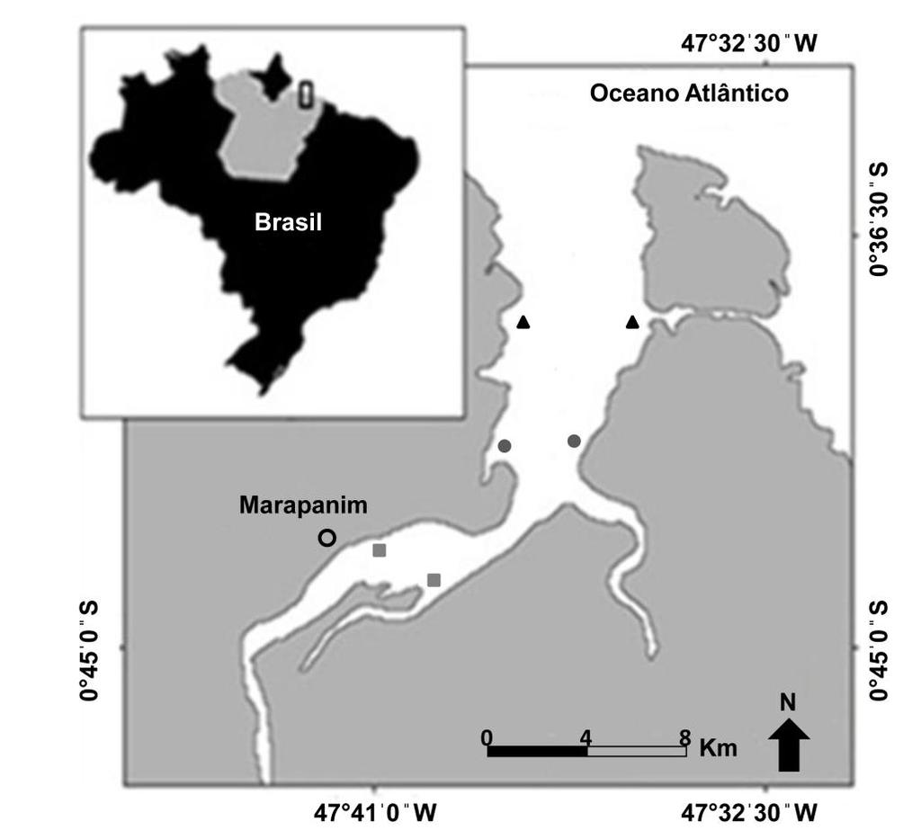 40 Fig. 1. Mapa do Estuário de Marapanim (Amazônia, Brasil) indicando os setores de coleta. Triângulo: setor Inferior; círculo: setor Médio; quadrado: setor Médio- Superior. 2.