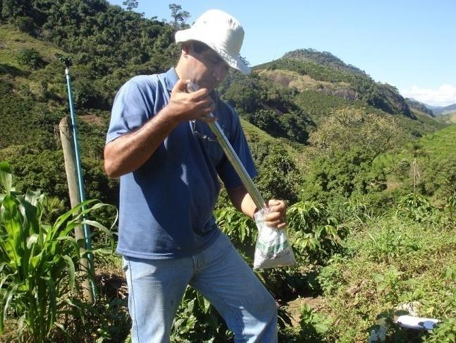 acordo com o manejo realizado pelo produtor.