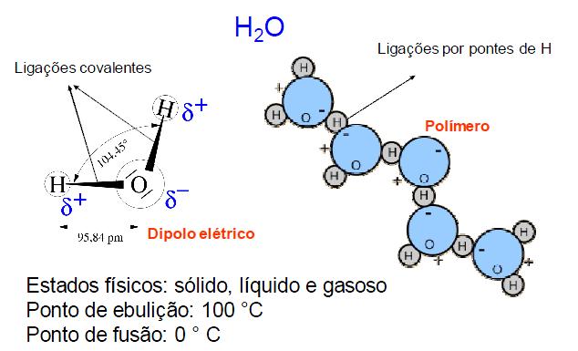 Estrutura