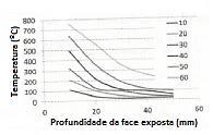 Capítulo 2 Estado da Arte 29 (a) Figura 2.14: Distribuição de temperatura: (a) curva de incêndio-padrão; (b) curva paramétrica com uma fase curta de aquecimento.