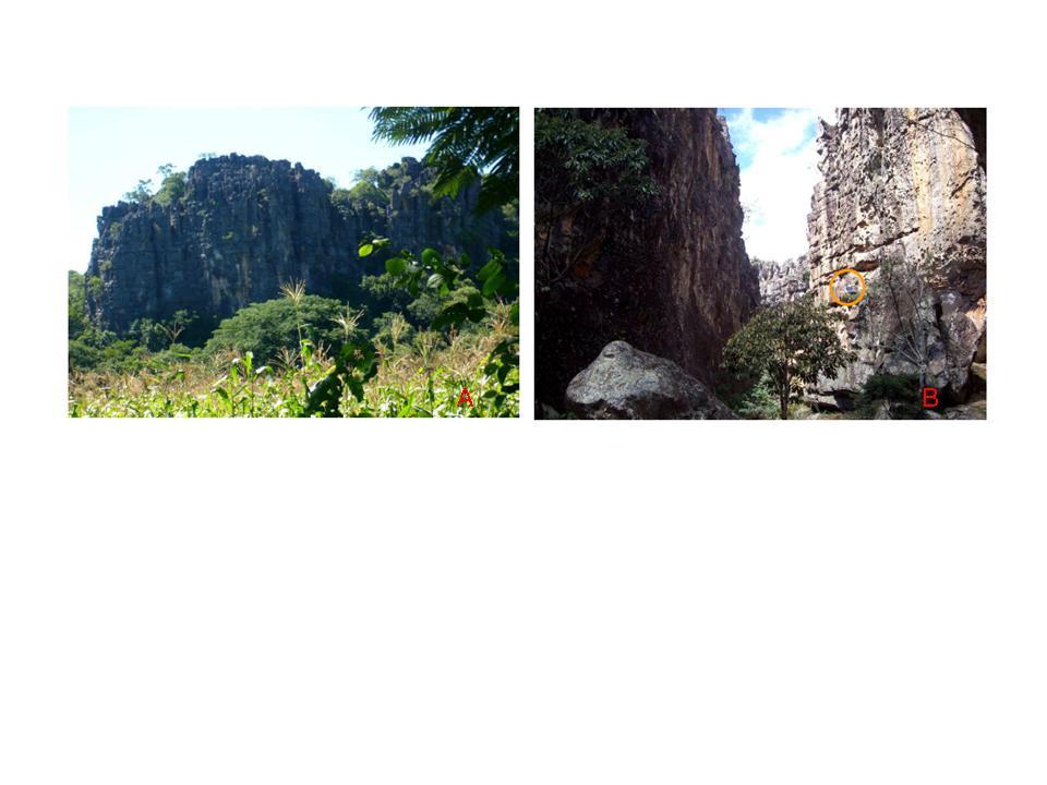 Figura 4: morfologia cárstica, a foto (A) mostra o relevo cárstico desenvolvido em rochas carbonáticas, foto (B) a morfologia do maciço do Salitre, desenvolvida em rochas quartzíticas.
