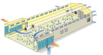 19 Figura 4 Ventilação Túnel. Fonte: (HOFFMAN M.