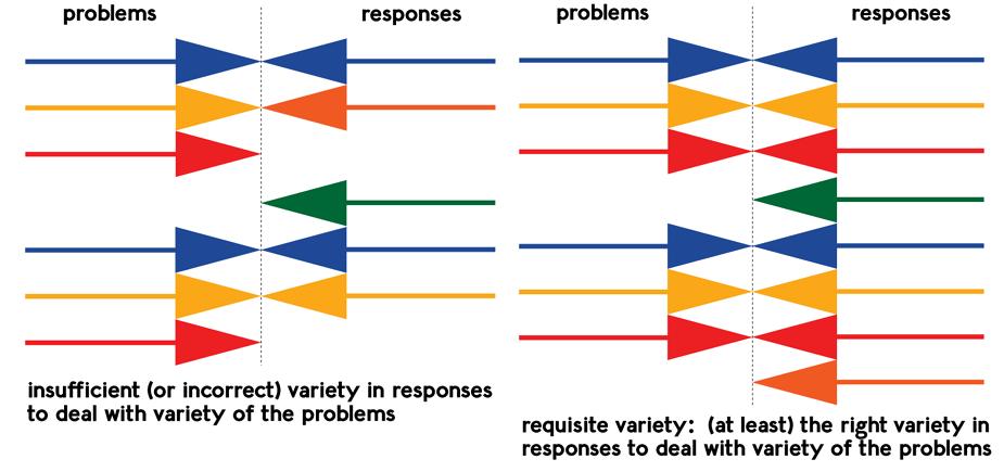 Limites da Jurisdição para a resolução de conflitos socioambientais Lei da variedade requerida: Somente a variedade pode absorver variedade (Ross ASHBY, 1956) Para