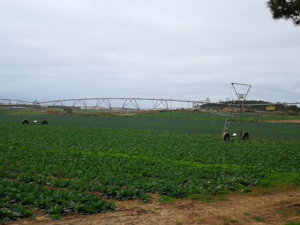 01 Resumo 02 Situação Sinóptica 03 Descrição Meteorológica 06 Informação Agrometeorológica 13 Previsão 14Situação agrícola 15 Anexos Boletim Meteorológico para a Agricultura Janeiro 2018 Produzido