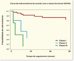 Nunes MCP et al.