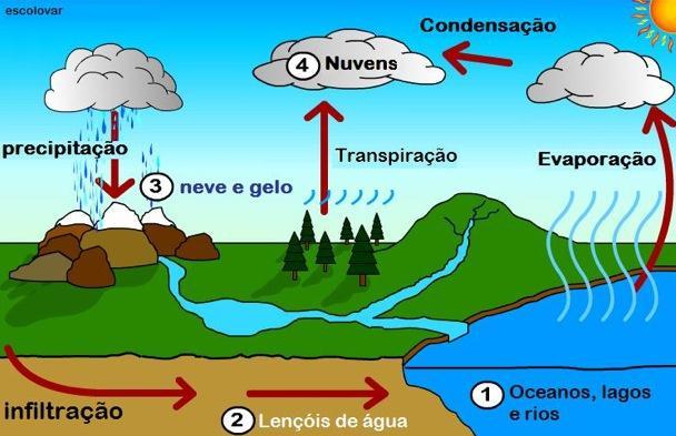 GABARITO 01- A vida nos ecossistemas terrestres Localização principal (países e/ou continentes) Estações do ano/clima Tundra Polo ártico Duas: inverno longo e verão curto Taiga Florestas temperadas