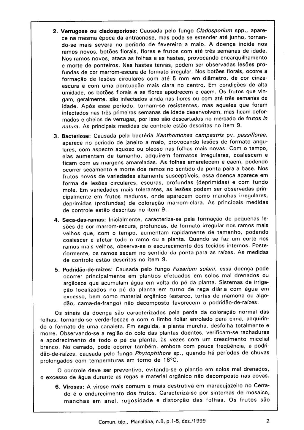 2. Verrugose ou cladosporiose: Causada pelo fungo Cladosporium spp., aparece na mesma época da antracnose, mas pode se estender até junho, tornando-se mais severa no período de fevereiro a maio.