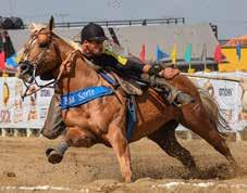 THINKRICH PRETTY DANCER POTRO FUTURO TRABALHO 2018/ VAQUEJADA 2019 Traveler Falcão x Laurie Pep FSF POCO LEO MF: Awards ABQM 2015.