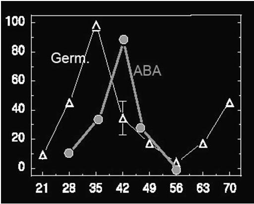 (1990) Dias após a polinização Transformações durante a maturação Germinação O potencial osmótico dos