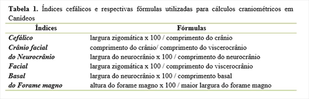 Craniometria em lobos-guará Chrysocyon