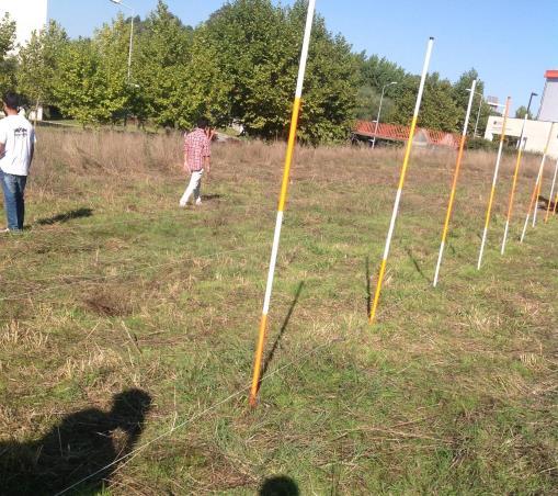 PROCEDIMENTO Durante a realização do projeto, o Campo