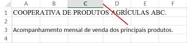 Figura 1.26 Criando a Nossa Primeira Planilha com Dados. 6. Ao digitar uma informação pode acontecer que esta ultrapasse o tamanho padrão da coluna.