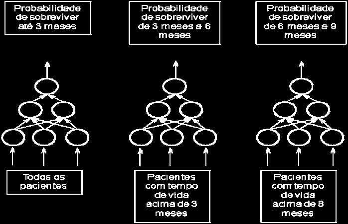 Cada rede neura tem uma única unidade de saída que estima a sobrevivência em um determinado período de tempo (10).