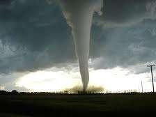 Podemos descrever os formatos de um tornado e da concha abaixo como alongados e afunilados.