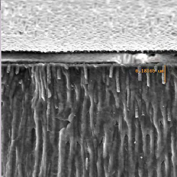 101 5.4 Microscopia eletrônica de varredura As imagens obtidas sob MEV das amostras são apresentadas a seguir (Figuras 24-29).