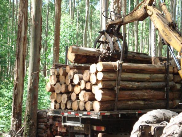 Foram empregadas 19 pessoas, sendo 7 diretos e 12 terceirizados. Não houveram acidentes de trabalho com afastamento.