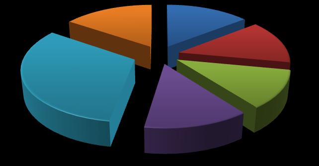 4,74 5,24 13,04 6,30 40,74 % 14,38 13,65 11,63 12,86 32,01 15,46 100,00