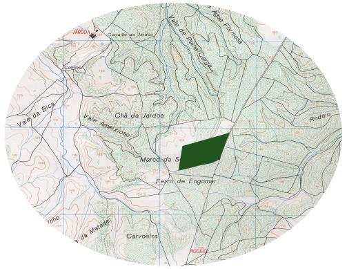 No passado, foi realizado um estudo preliminar com o objectivo de analisar as condições geológicas e das águas subterrâneas do local, salientando que as formações geológicas existentes no local