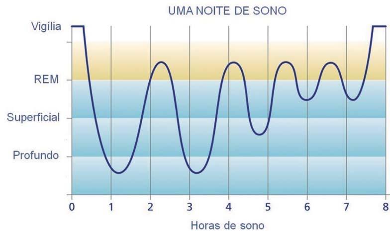 conhecida, a fase de sono REM (do inglês, Rapid Eye Movement). Nesta fase do sono, nossos olhos se movem rapidamente e é onde geralmente temos os sonhos.