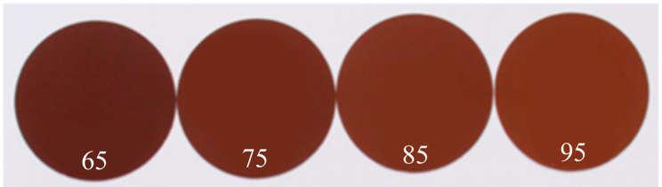 71 escala Agtron correspondente com intervalos de 95 a 25. Os valores de CIE L*,a*,b* desses discos foram obtidos pelo equipamento colorímetro CR 300 (Fig.