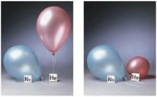 Thomas Grahan mediu as velocidades de difusão de gases e, com os resultados de seus experimentos, observou que a velocidade de difusão de um gás através do