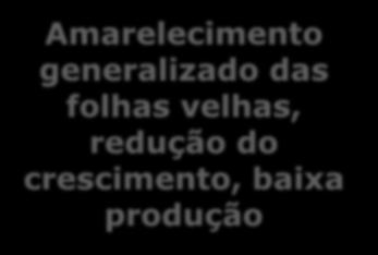 Plantas: Características de deficiência: Proteínas, Enzimas, Clorofila