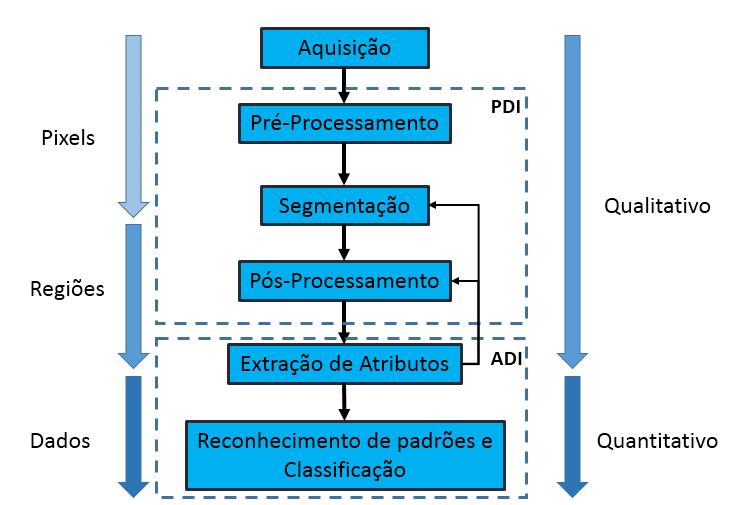 51 Finalmente foram segmentados os poros em cada uma das 3 imagens registradas (MO, MEV e MicroCT) e compararam-se as medidas de porosidade em cada uma e usando a correlação MO+MEV. 4.