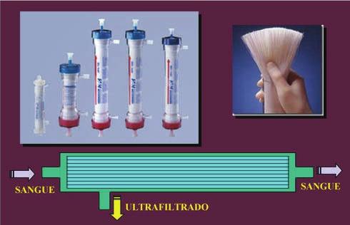 to o outro serve de escoamento ao sangue, após a sua passagem pelo interior das fibras.