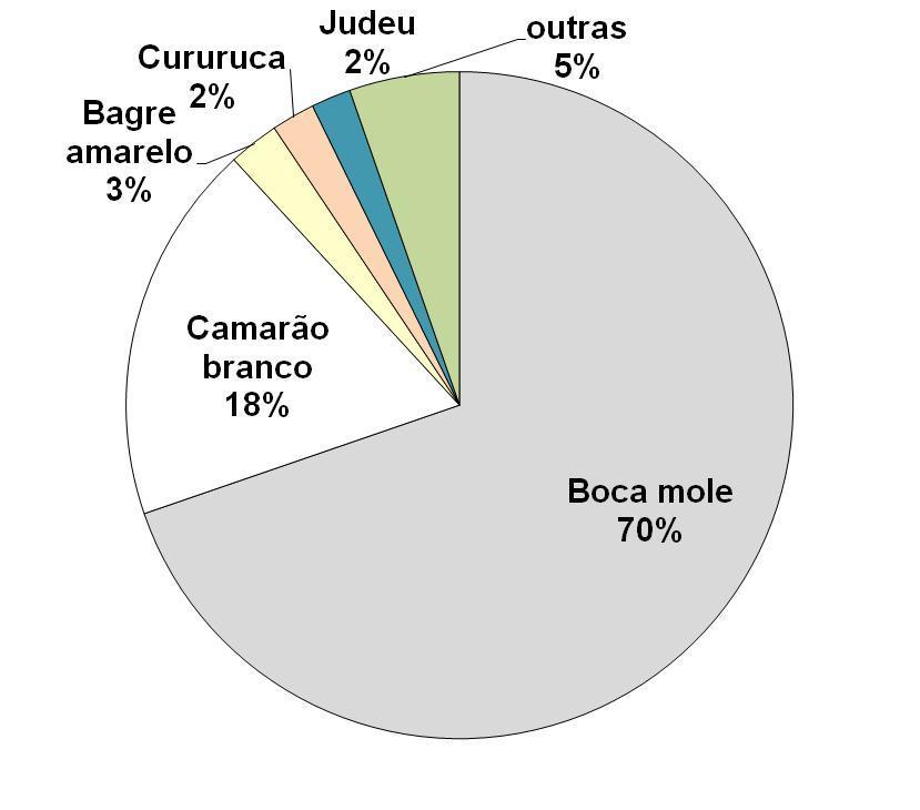 95 (a) (b) Figura 10 - Participação relativa da dominância das espécies de peixes e camarões capturados pelos sistemas de pesca direcionados aos camarões: (a) rede de arrasto de fundo / lancha P e