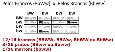 Prof. James Scandian MÓDULO 6 - GABARITO SÉRIE AULA 01 - B; 02 - D; 03 - A; 04 - E; 05-44 (04; 08; 32); 06 - D; 07 - A; 08 - B 1.