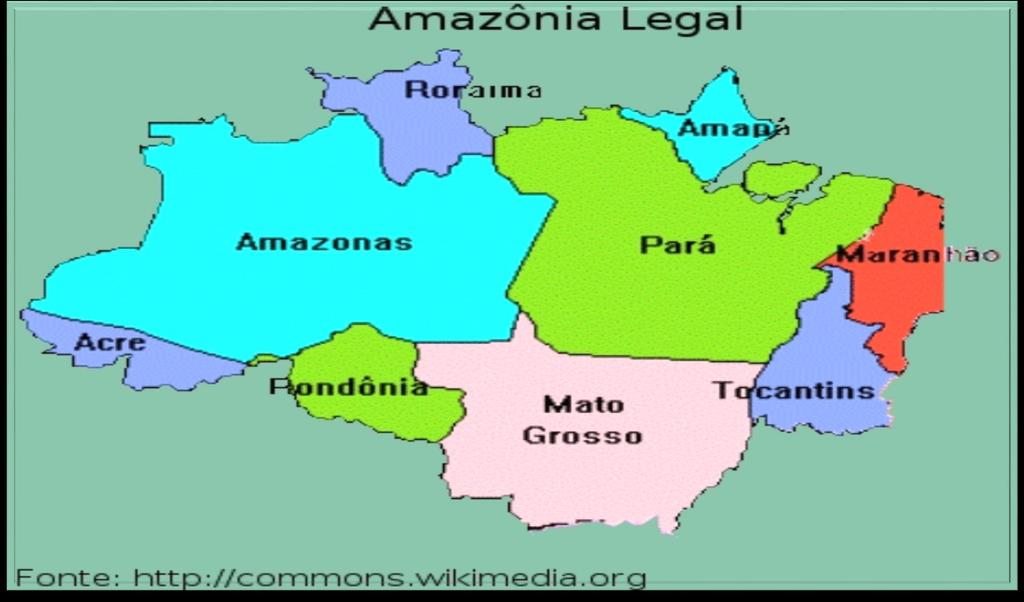 RECURSOS GENÉTICOS DE HORTALIÇAS DA AMAZÔNIA LEGAL Manejo, conservação e uso Área: 5 milhões km² (95% floresta) 25 milhões de