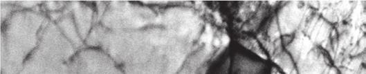94 Na última micrografia desta condição (Figura 4.