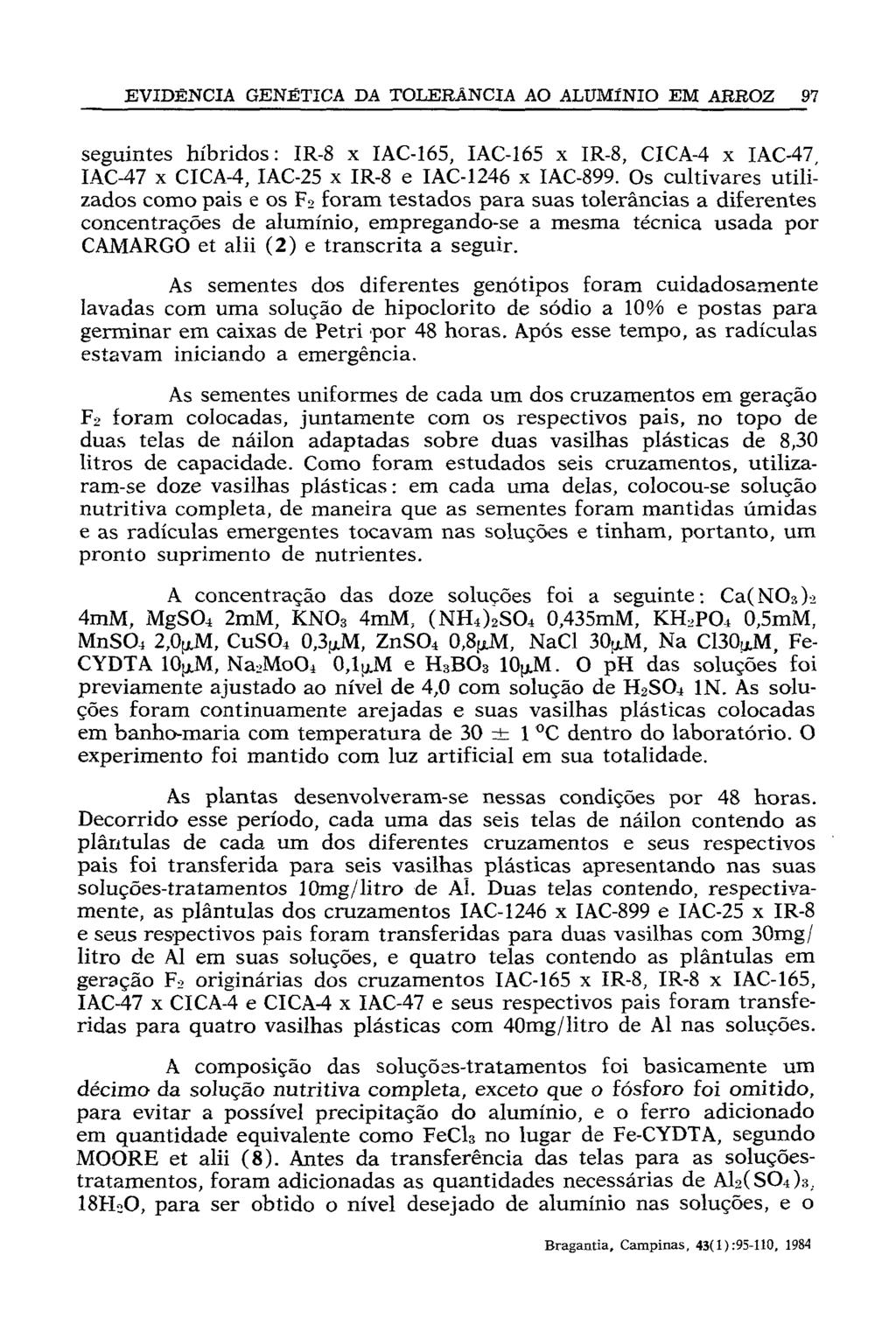 seguintes híbridos: IR-8 x IAC-165, IAC-165 x IR-8, CICA-4 x IAC-47 IAC-47 x CICA-4, IAC-25 x IR-8 e IAC-1246 x IAC-899.