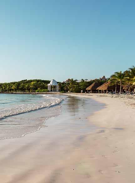 TRS Yucatan Hotel Grand Palladium Colonial Resort & Spa Grand Palladium Kantenah Resort & Spa Grand Palladium White Sand Resort & Spa México Riviera Maya Esta maravilhosa região, situada na Península