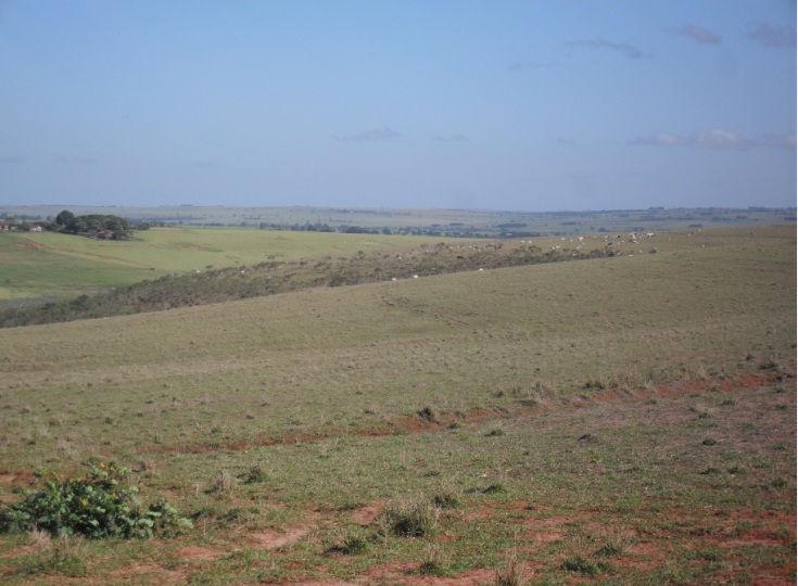 da pecuária extensiva. Essas propriedades caracterizam-se pela transição do latifúndio para o agronegócio e a expansão do mesmo na região. Segundo FERNANDES (2008, p. 5): (.