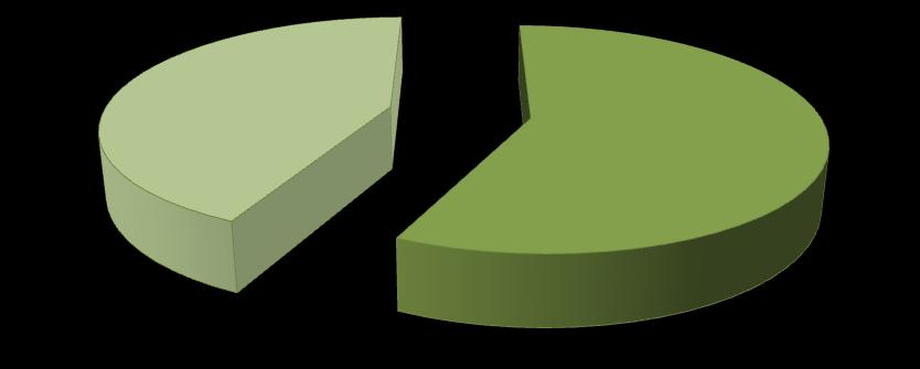 Origem dos alergénios moleculares detetados Origem Animal 43% Origem Vegetal 57% Gráfico 7 - Origem dos