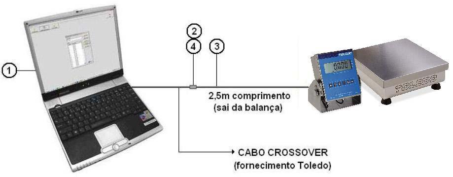 Manual do Usuário MODELO 2096-A SISTEMA DE PESAGEM AUTOMÁTICA DE AVES NO AVIÁRIO CONECTANDO A BALANÇA AO PC A.