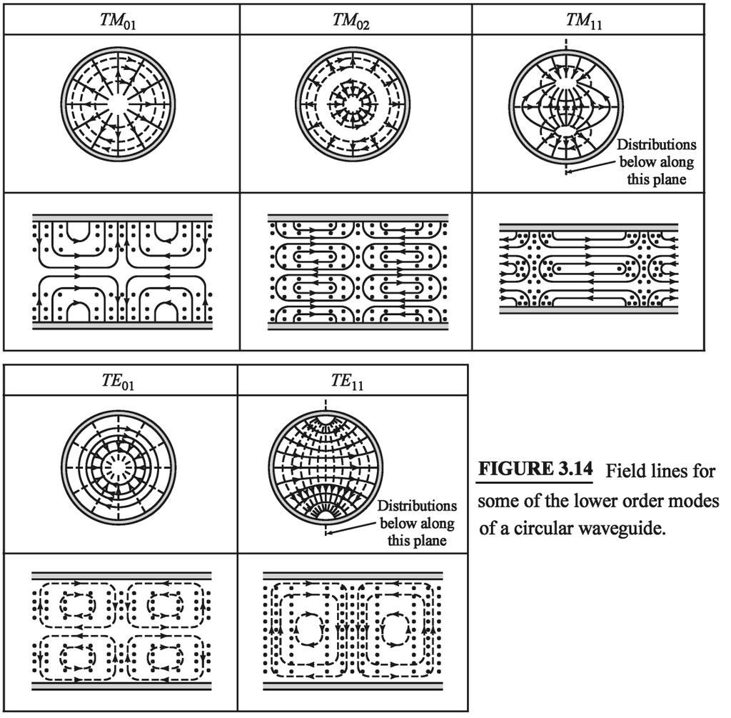 continuous line E field dashed line H field Nos modos TE nm : n se refere ao