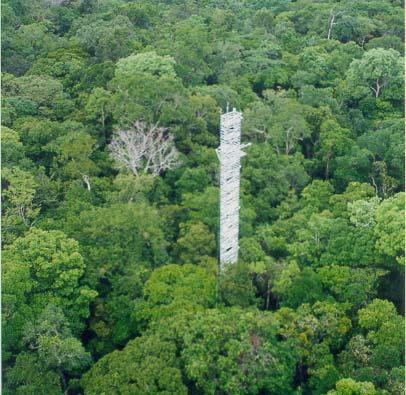 climáticas globais a importância da Amazônia aumenta,