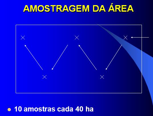 SISTEMA DE LEVANTAMENTO DE ERVAS DANINHAS