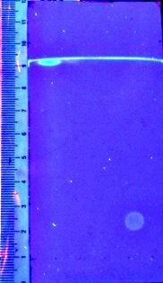 e quantificação das amostras contaminadas foram realizadas em cromatógrafo líquido de alta eficiência Shimadzu com detector de fluorescência (λ excitação = 360 nm e λ emissão = 450 nm), equipado com