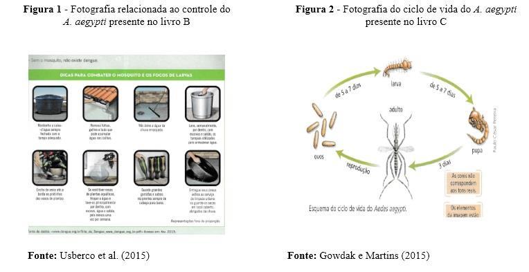 A maioria dos exemplares analisados apresenta ilustrações que permitem a identificação morfológica do A.