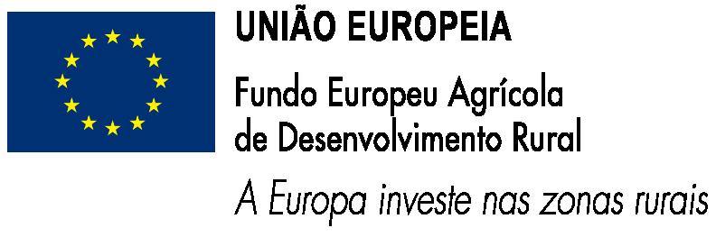 NOVOS FUNDOS A partir de Janeiro de 2007 surgiram novos Fundos comunitários: Fundo Europeu Agrícola de Garantia (FEAGA) e Fundo